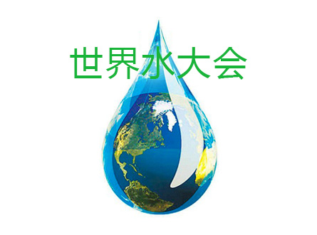 世界水大会